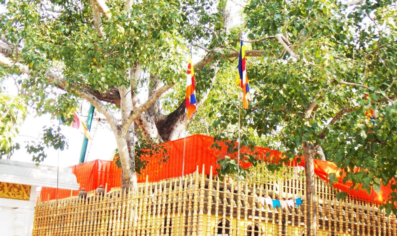 Kubura Resort Anuradhapura Eksteriør billede