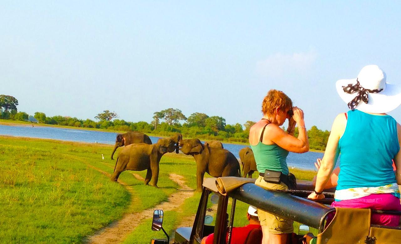 Kubura Resort Anuradhapura Eksteriør billede