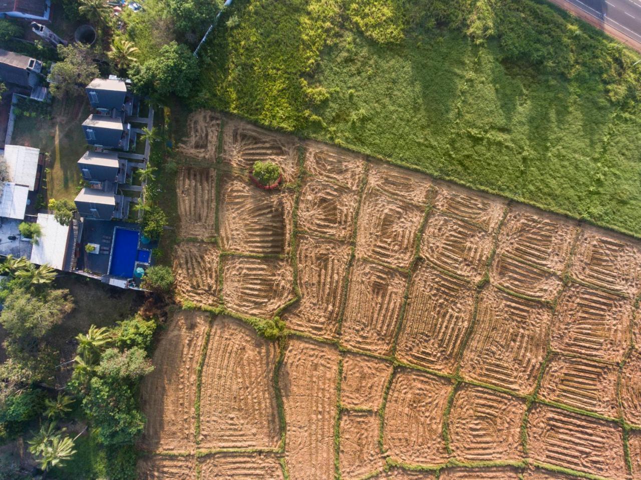 Kubura Resort Anuradhapura Eksteriør billede